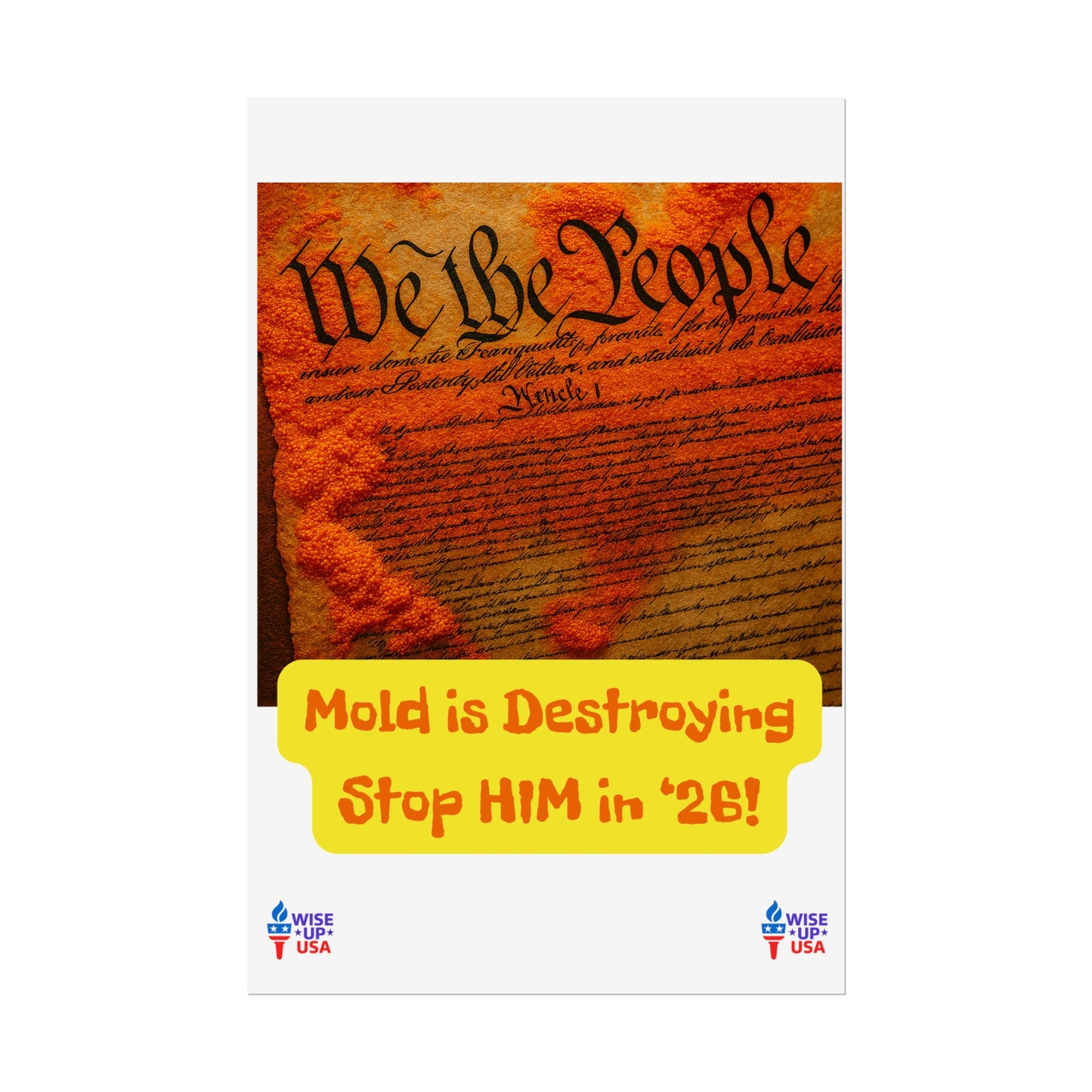 Colorful Protest Art Poster, Mold in Constitution, Activism Wall Art, Political Prints, Corrupt Congress, Midterm Elections, oust elite