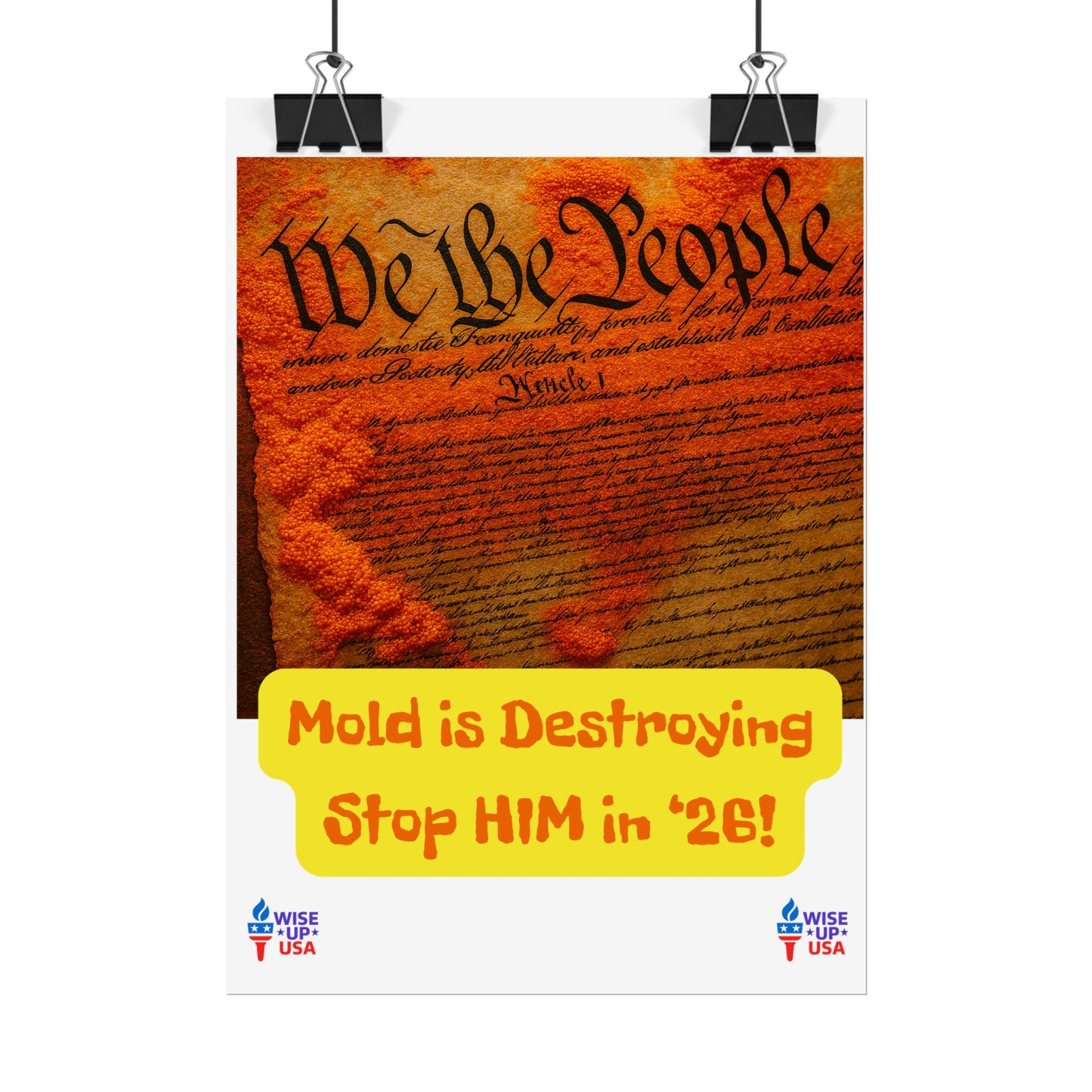 Colorful Protest Art Poster, Mold in Constitution, Activism Wall Art, Political Prints, Corrupt Congress, Midterm Elections, oust elite