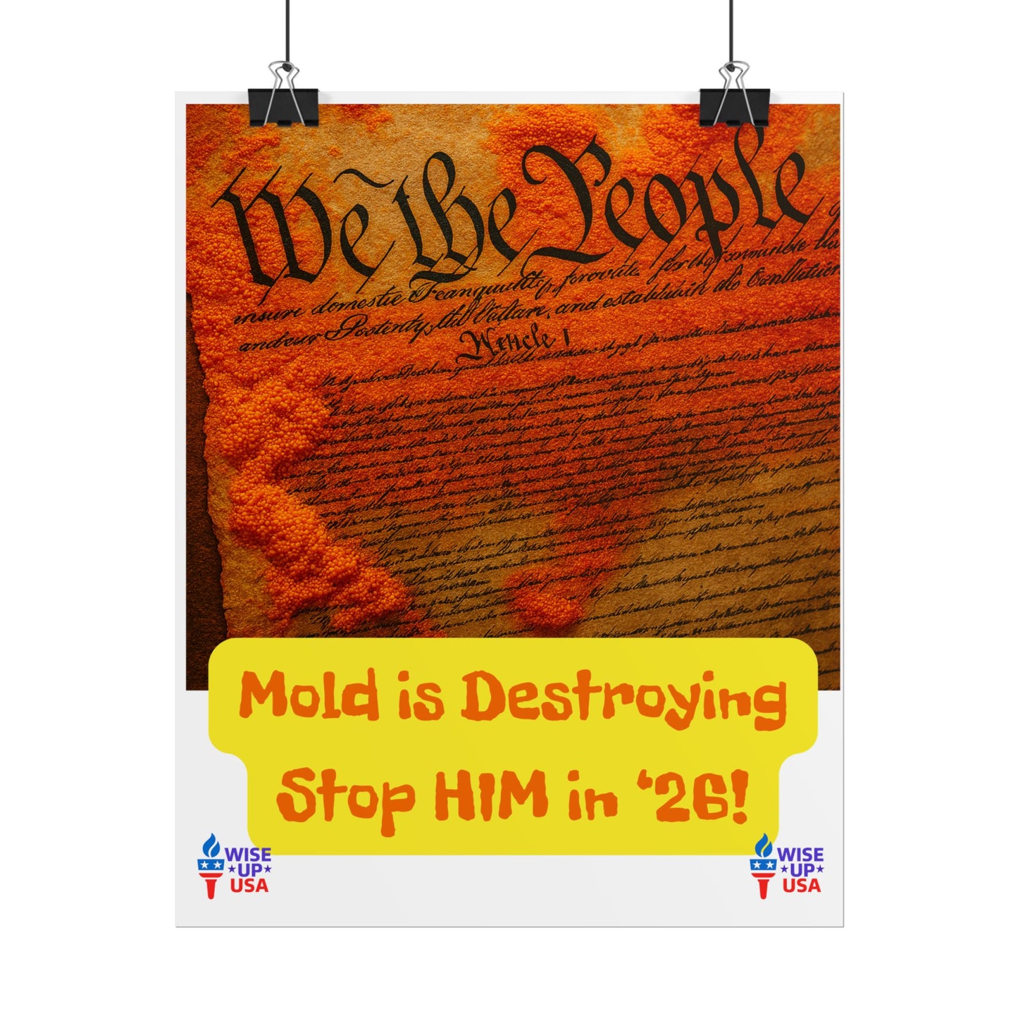 Colorful Protest Art Poster, Mold in Constitution, Activism Wall Art, Political Prints, Corrupt Congress, Midterm Elections, oust elite