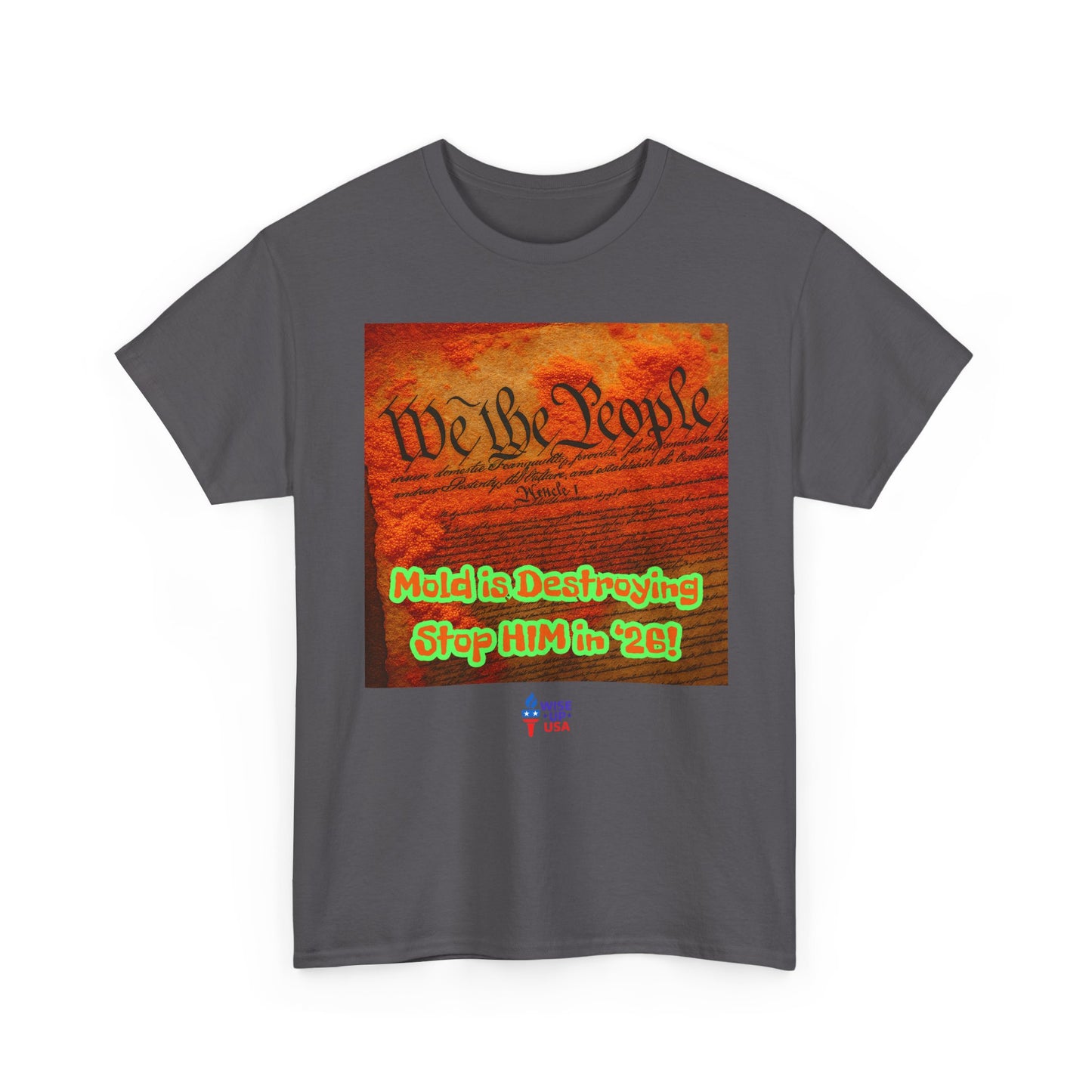 Unisex Heavy Cotton Tee with Stop Him '26, Design, Election Day Apparel, Revolution, Gift for Activists, Midterm 26, Destroy Constitution