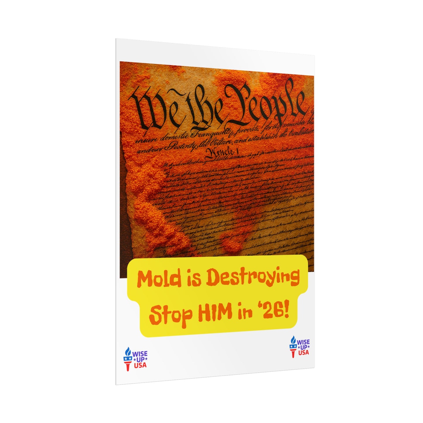 Colorful Protest Art Poster, Mold in Constitution, Activism Wall Art, Political Prints, Corrupt Congress, Midterm Elections, oust elite