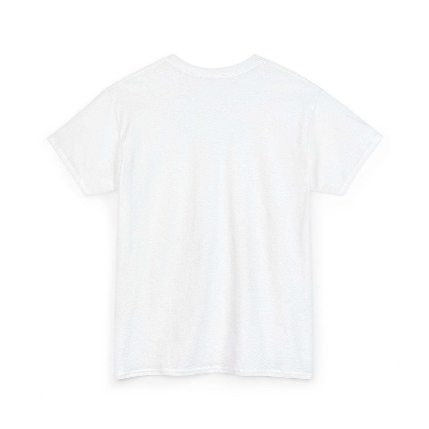 Don't Forget Who We Are Great Unisex Heavy Cotton Tee, Election Day Apparel Activists, Anti MAGA, Republicans, and MAGA, Resistance, Midterm
