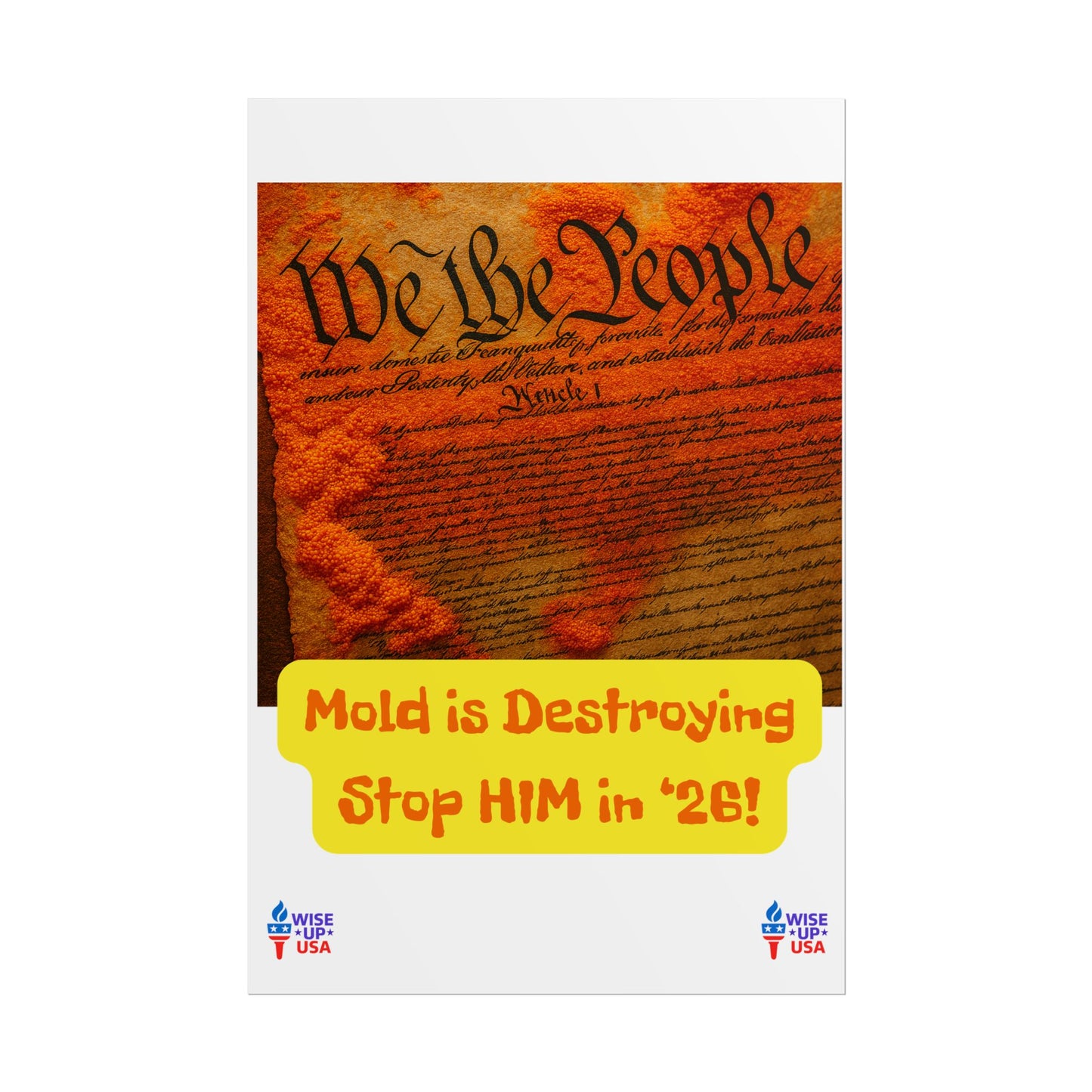 Colorful Protest Art Poster, Mold in Constitution, Activism Wall Art, Political Prints, Corrupt Congress, Midterm Elections, oust elite