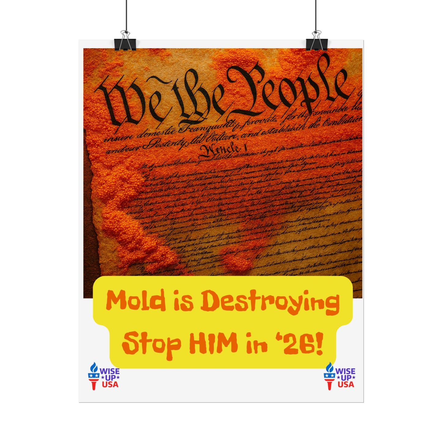 Colorful Protest Art Poster, Mold in Constitution, Activism Wall Art, Political Prints, Corrupt Congress, Midterm Elections, oust elite