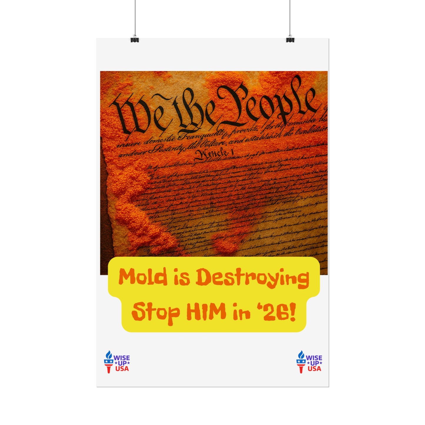 Colorful Protest Art Poster, Mold in Constitution, Activism Wall Art, Political Prints, Corrupt Congress, Midterm Elections, oust elite