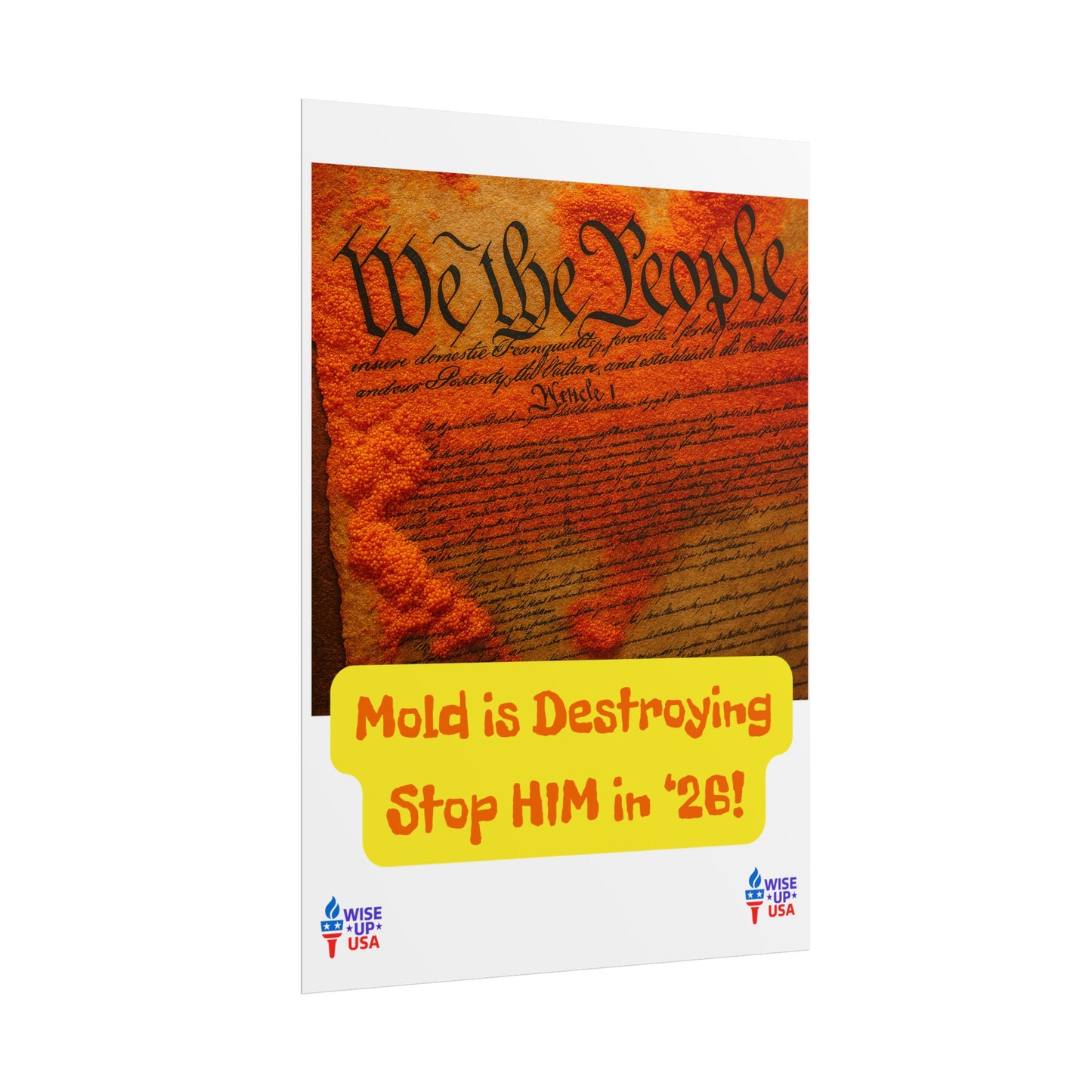 Colorful Protest Art Poster, Mold in Constitution, Activism Wall Art, Political Prints, Corrupt Congress, Midterm Elections, oust elite