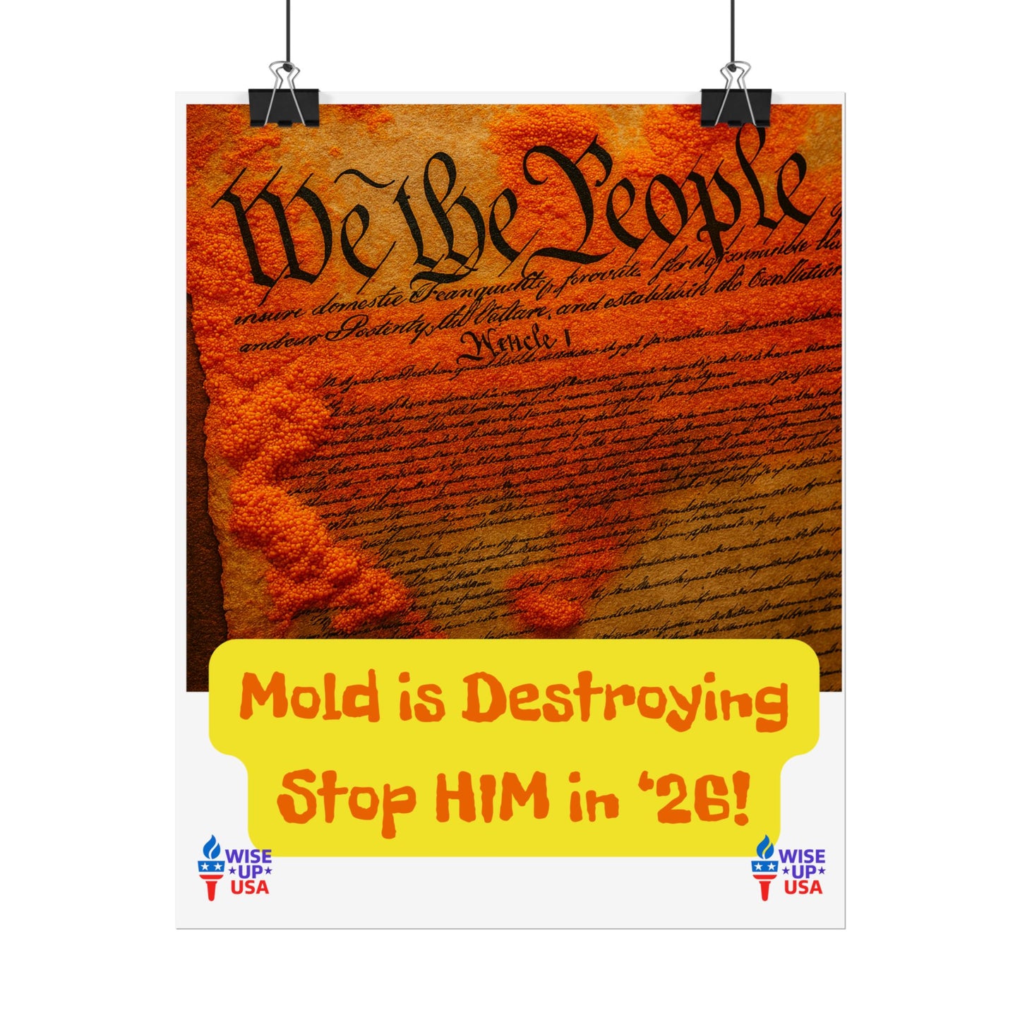 Colorful Protest Art Poster, Mold in Constitution, Activism Wall Art, Political Prints, Corrupt Congress, Midterm Elections, oust elite