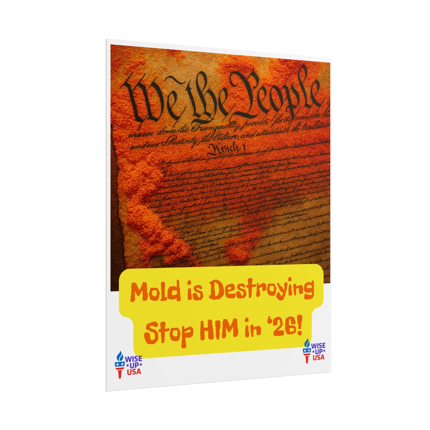 Colorful Protest Art Poster, Mold in Constitution, Activism Wall Art, Political Prints, Corrupt Congress, Midterm Elections, oust elite