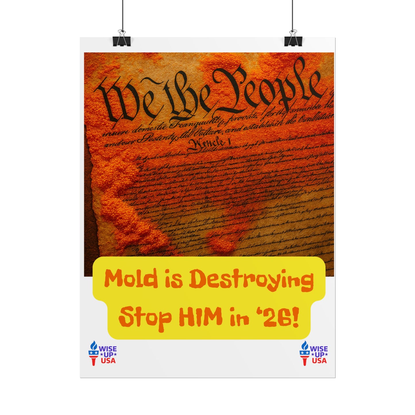 Colorful Protest Art Poster, Mold in Constitution, Activism Wall Art, Political Prints, Corrupt Congress, Midterm Elections, oust elite