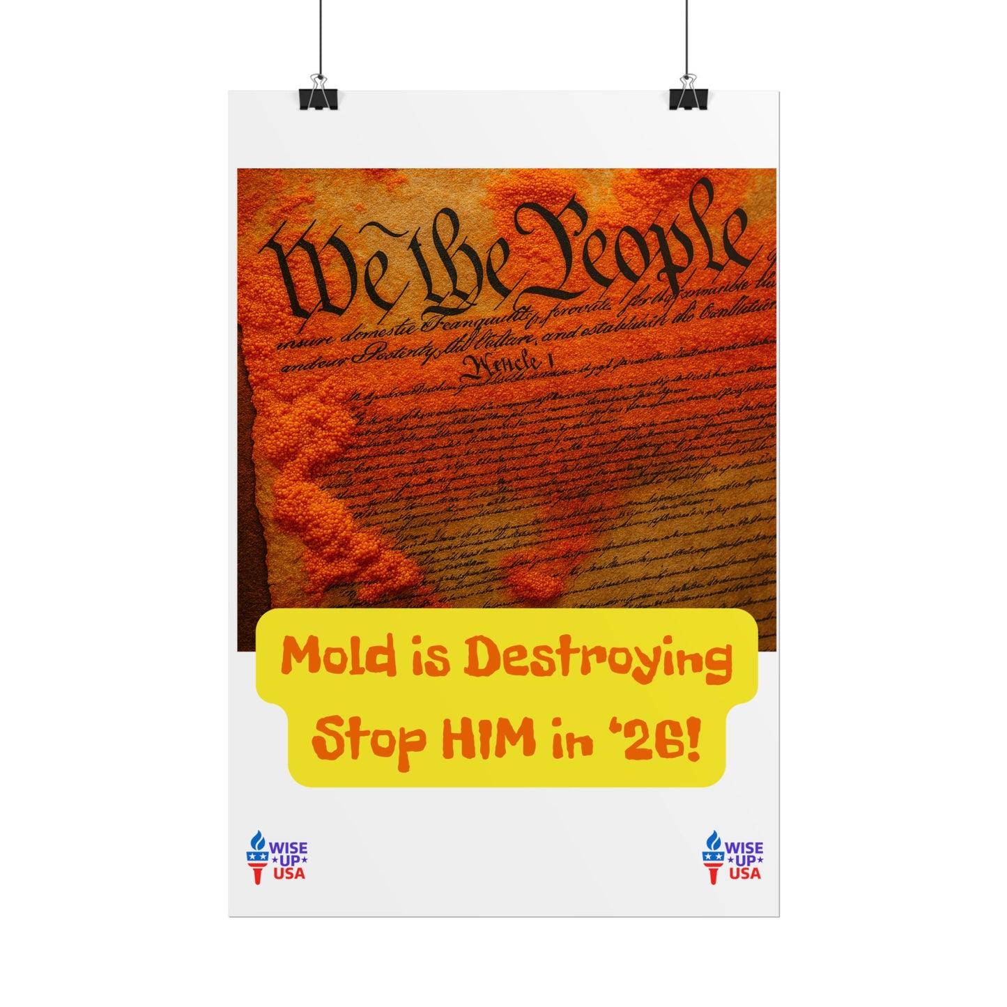 Colorful Protest Art Poster, Mold in Constitution, Activism Wall Art, Political Prints, Corrupt Congress, Midterm Elections, oust elite