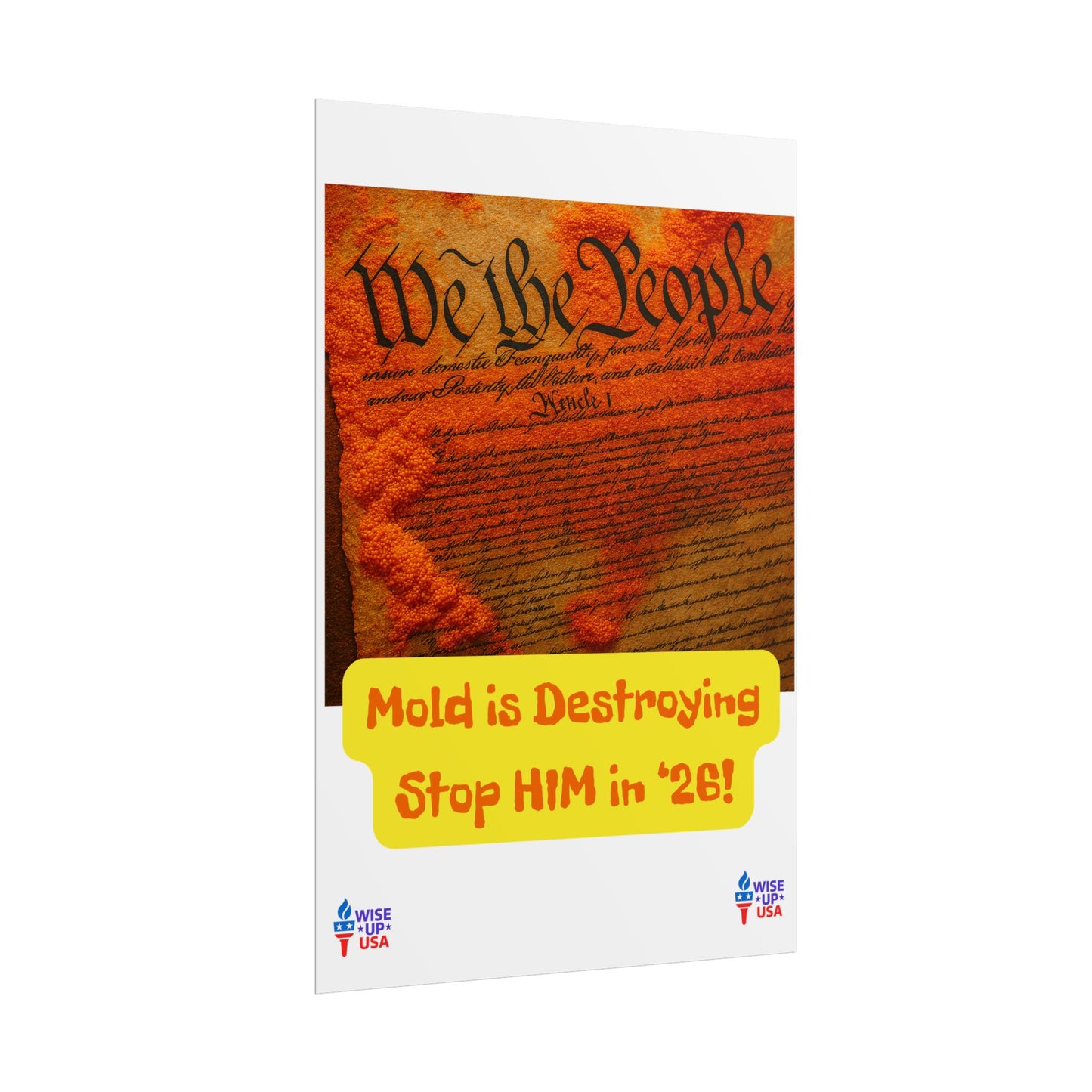 Colorful Protest Art Poster, Mold in Constitution, Activism Wall Art, Political Prints, Corrupt Congress, Midterm Elections, oust elite