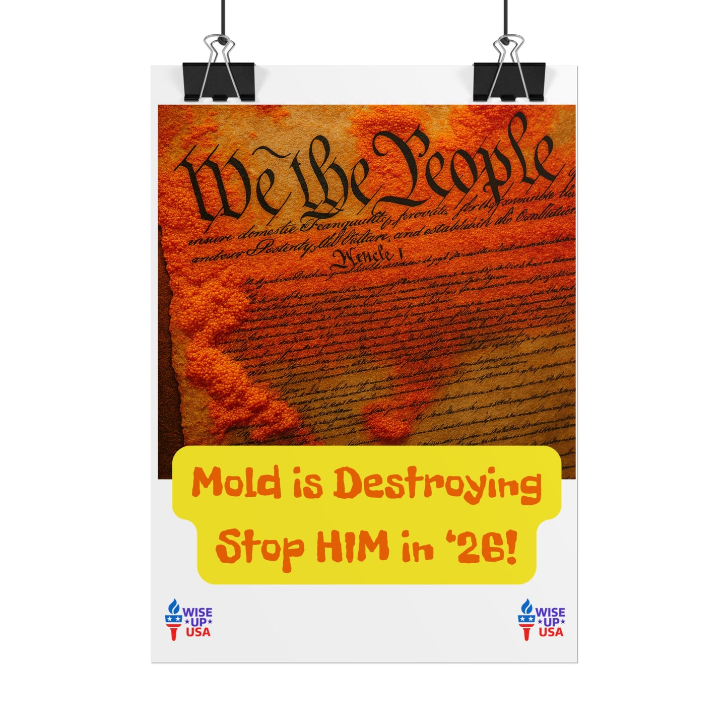 Colorful Protest Art Poster, Mold in Constitution, Activism Wall Art, Political Prints, Corrupt Congress, Midterm Elections, oust elite