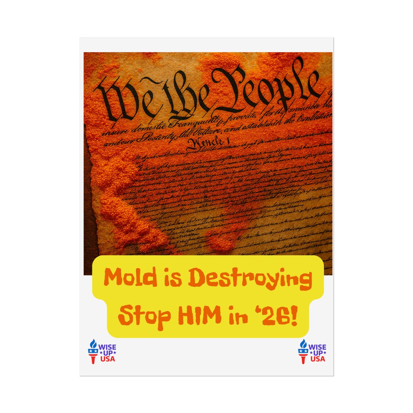 Colorful Protest Art Poster, Mold in Constitution, Activism Wall Art, Political Prints, Corrupt Congress, Midterm Elections, oust elite
