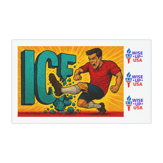 Political Car Magnets, USA Election Decor, Stop Ice raids, Gift for Activists, Stop Ice, Wise Up USA, Midterm Elections, Kick ICE