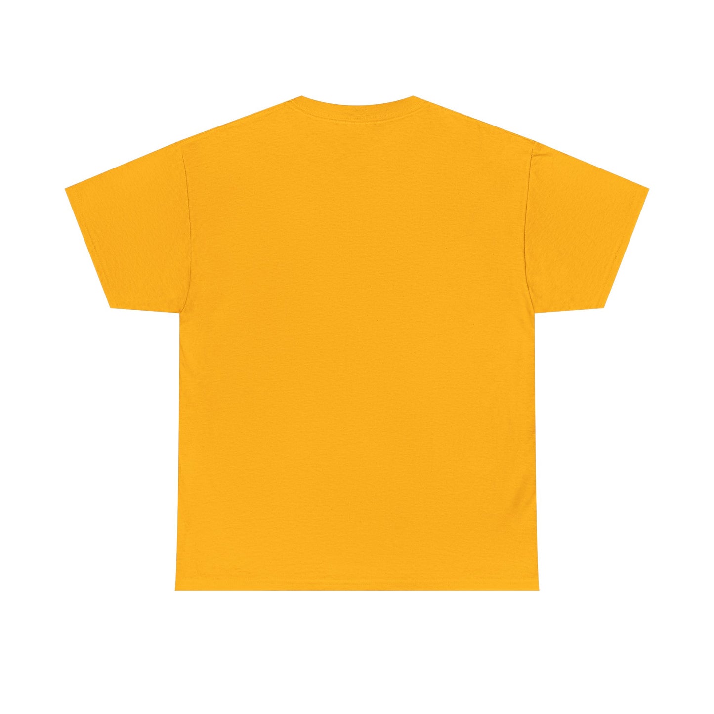 Don't Forget Who We Are Great Unisex Heavy Cotton Tee, Election Day Apparel Activists, Anti MAGA, Republicans, and MAGA, Resistance, Midterm