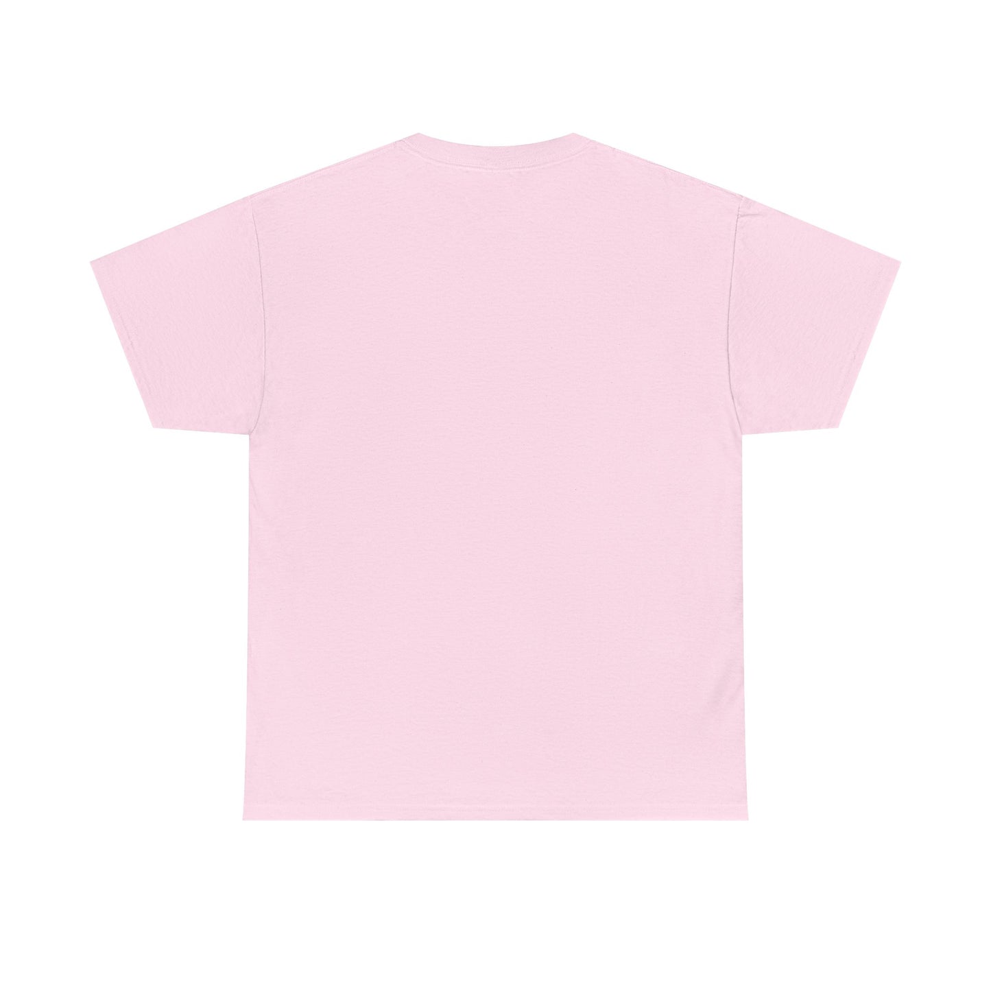 Don't Forget Who We Are Great Unisex Heavy Cotton Tee, Election Day Apparel Activists, Anti MAGA, Republicans, and MAGA, Resistance, Midterm