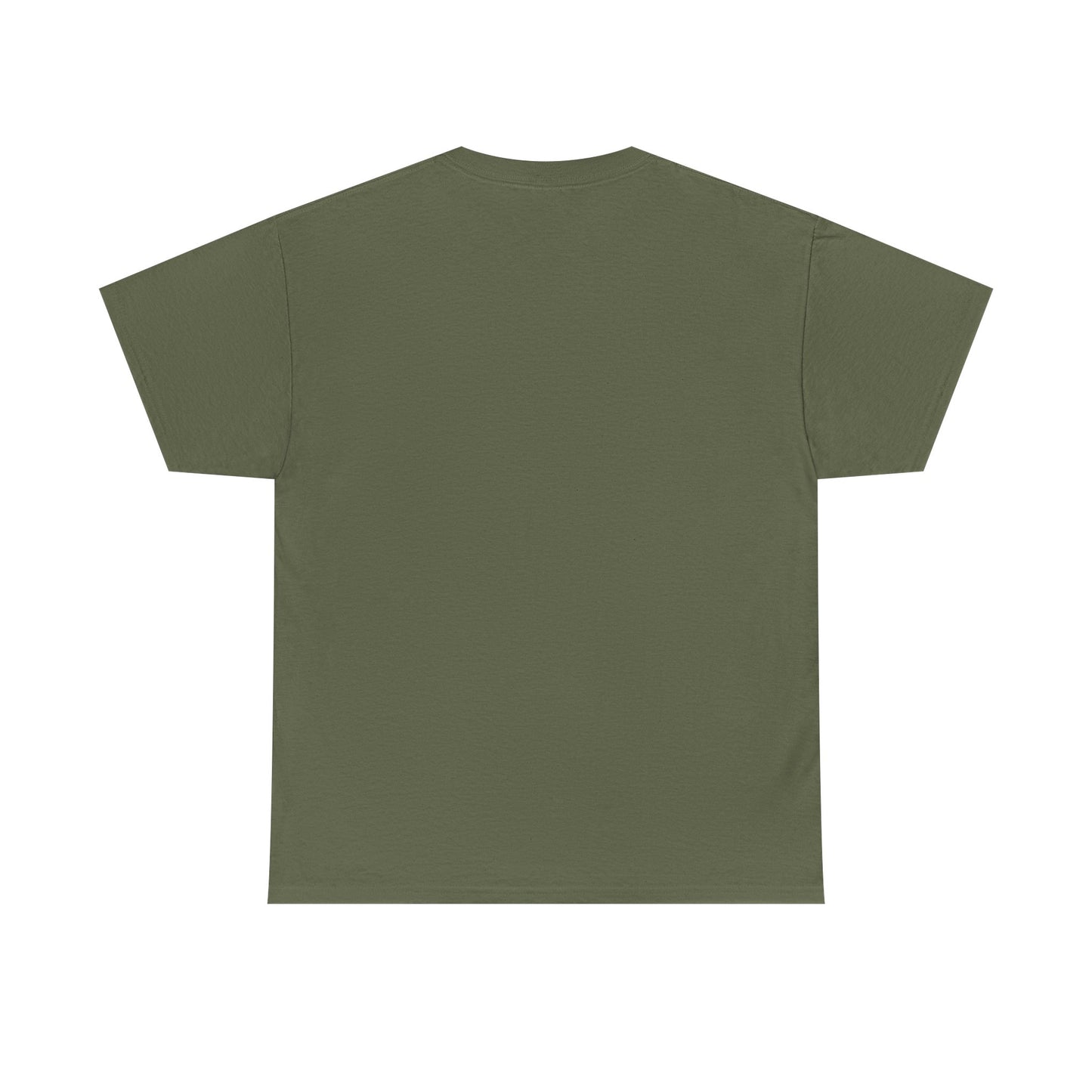 Don't Forget Who We Are Great Unisex Heavy Cotton Tee, Election Day Apparel Activists, Anti MAGA, Republicans, and MAGA, Resistance, Midterm