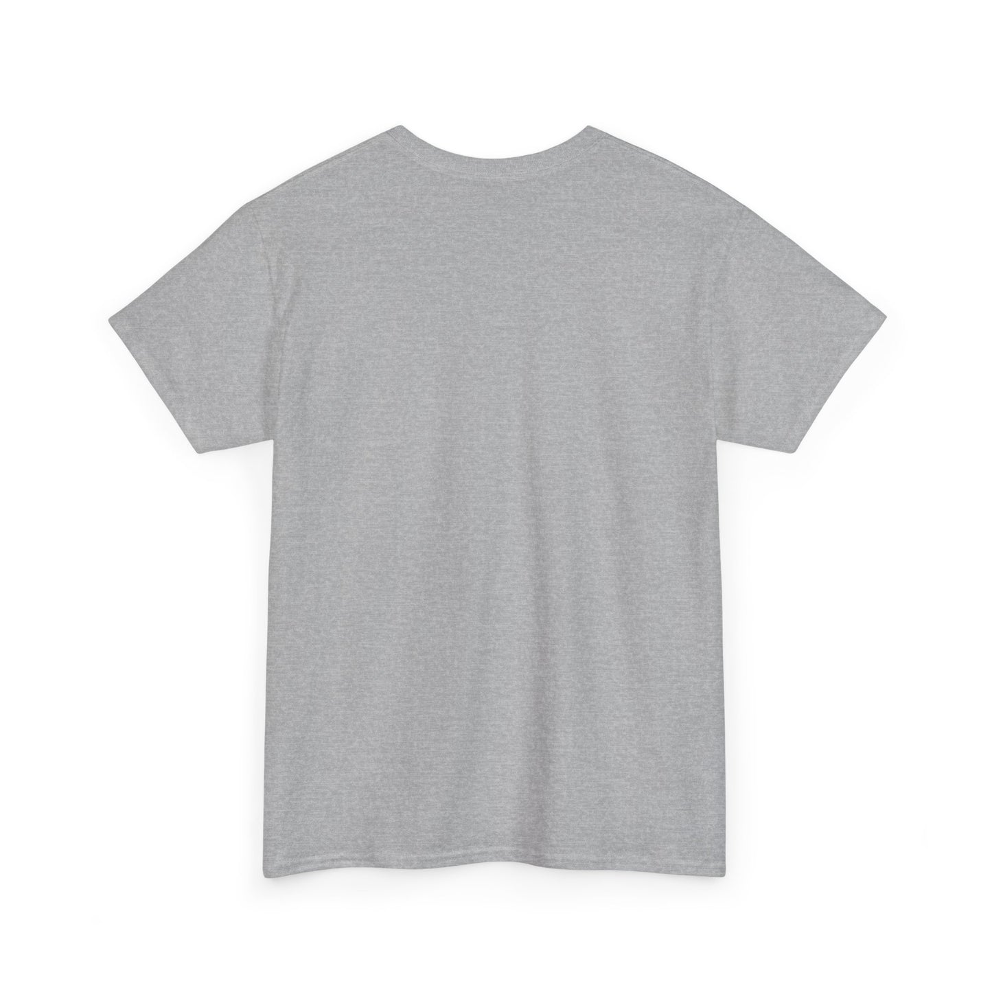 Don't Forget Who We Are Great Unisex Heavy Cotton Tee, Election Day Apparel Activists, Anti MAGA, Republicans, and MAGA, Resistance, Midterm