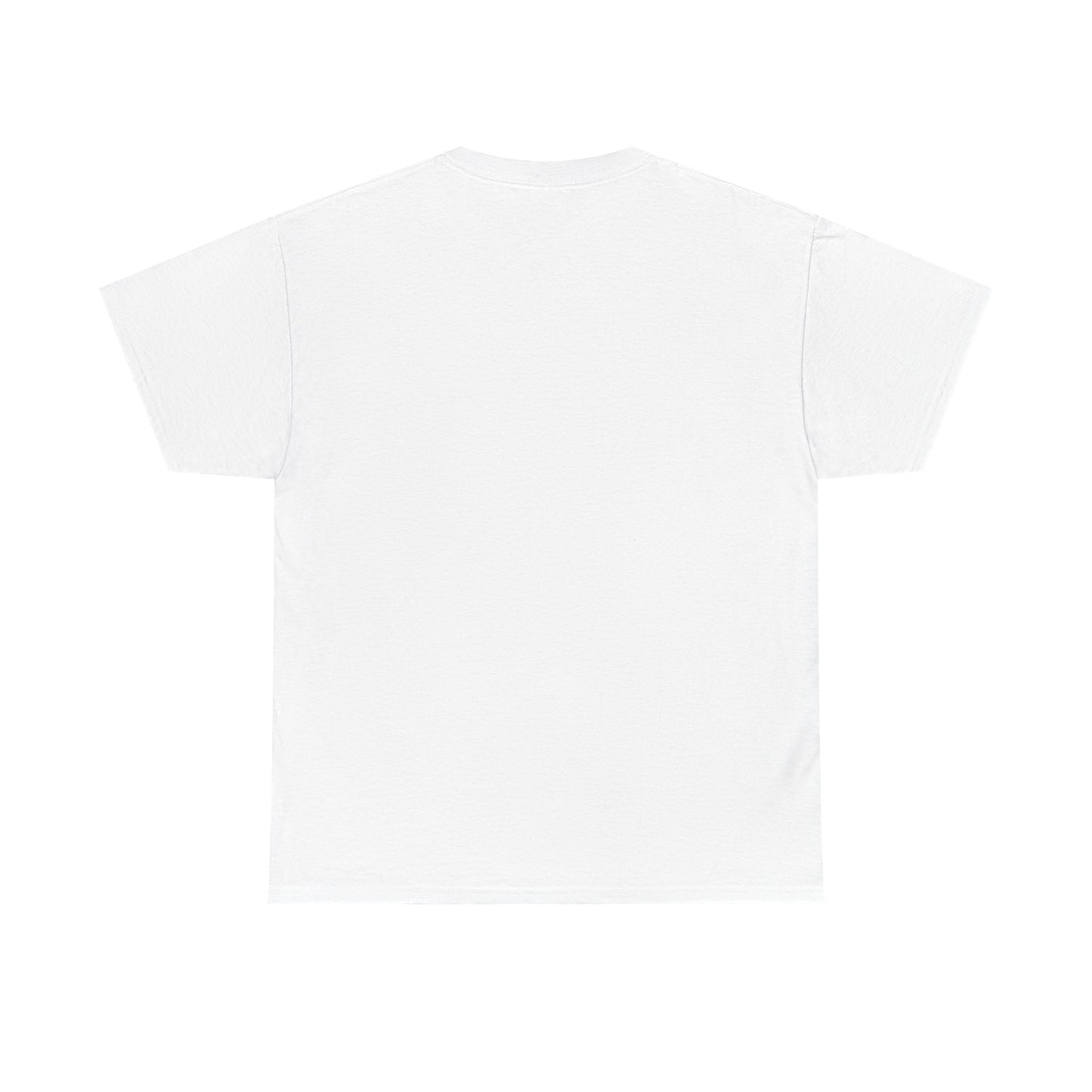 Don't Forget Who We Are Great Unisex Heavy Cotton Tee, Election Day Apparel Activists, Anti MAGA, Republicans, and MAGA, Resistance, Midterm