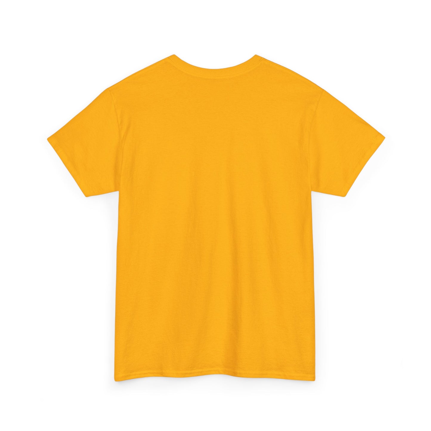 Don't Forget Who We Are Great Unisex Heavy Cotton Tee, Election Day Apparel Activists, Anti MAGA, Republicans, and MAGA, Resistance, Midterm